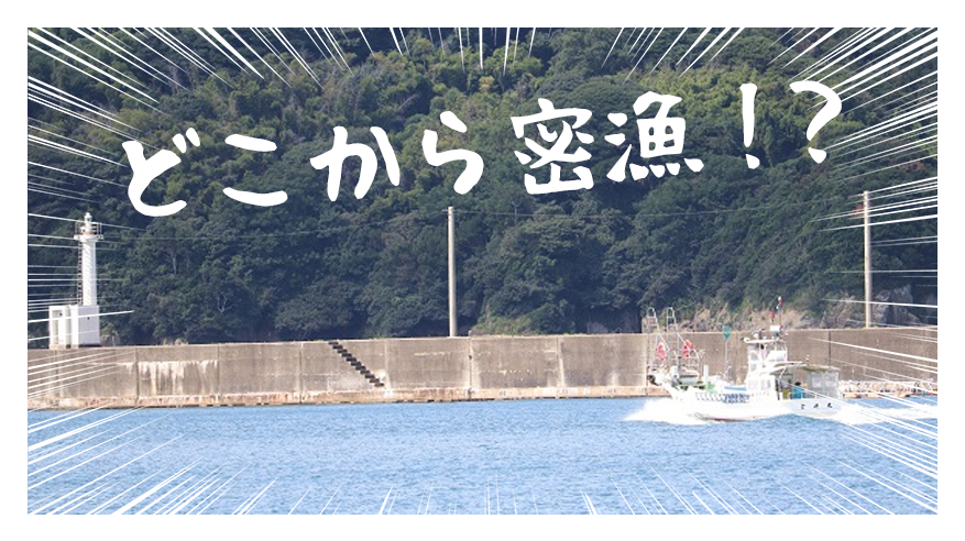 どこから密漁 浜田で捕って大丈夫な魚介類 浜田探検隊